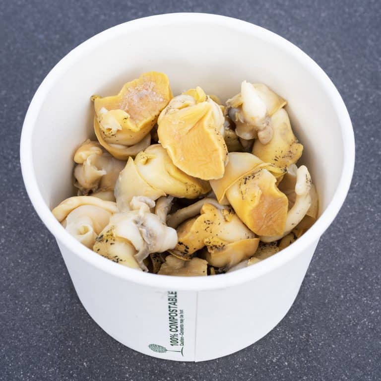 Whelks 200g Pot Brighton & Newhaven Fish Sales
