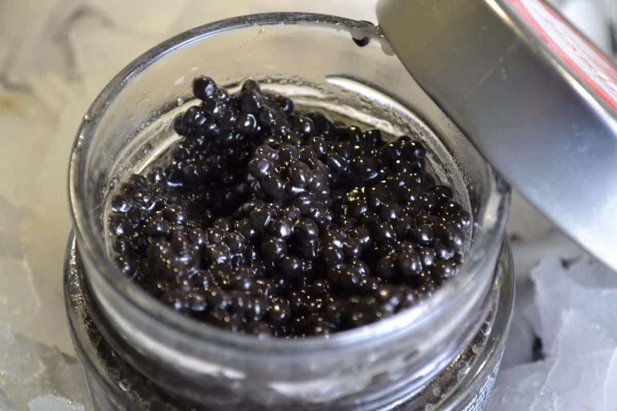 Avruga Caviar Brighton & Newhaven Fish Sales