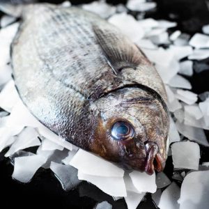 How to Fillet a Round Fish