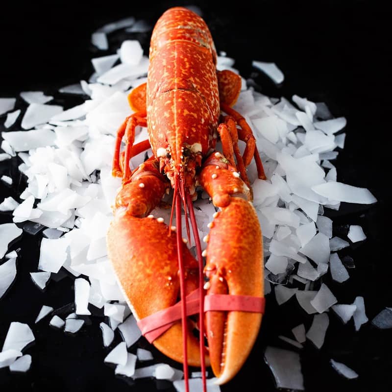 Cooked Lobster Brighton & Newhaven Fish Sales