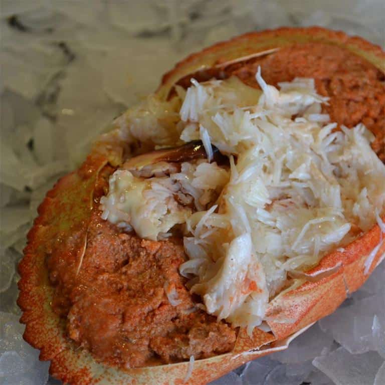 Dressed Crab Brighton & Newhaven Fish Sales