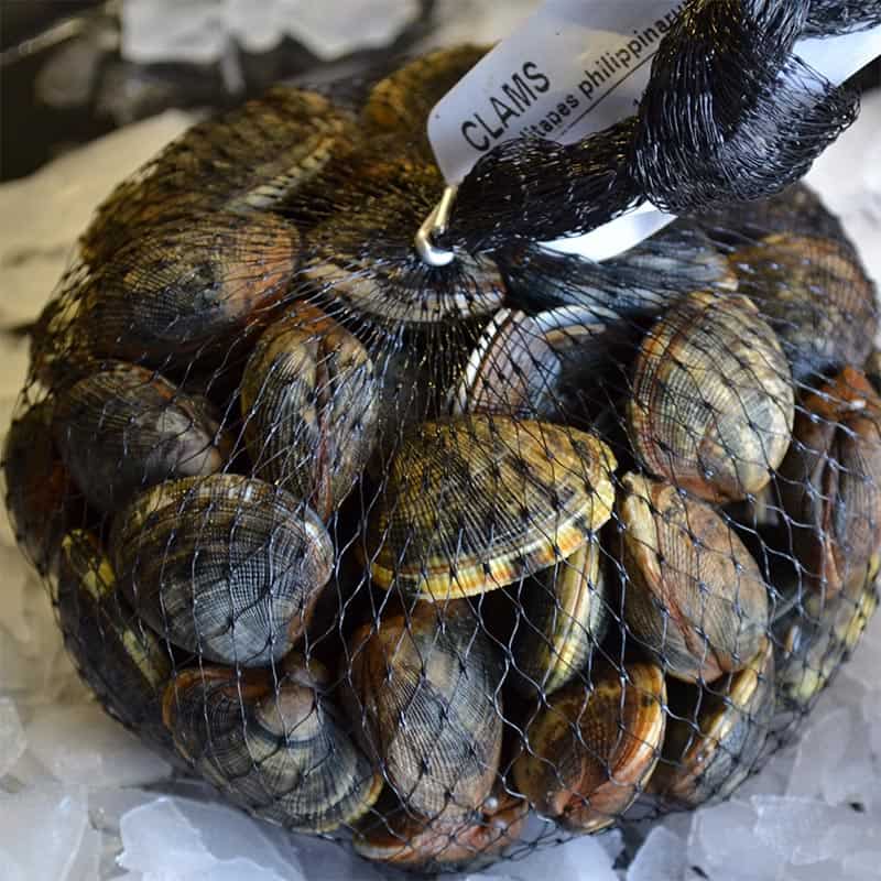 Palourde Clams Brighton & Newhaven Fish Sales