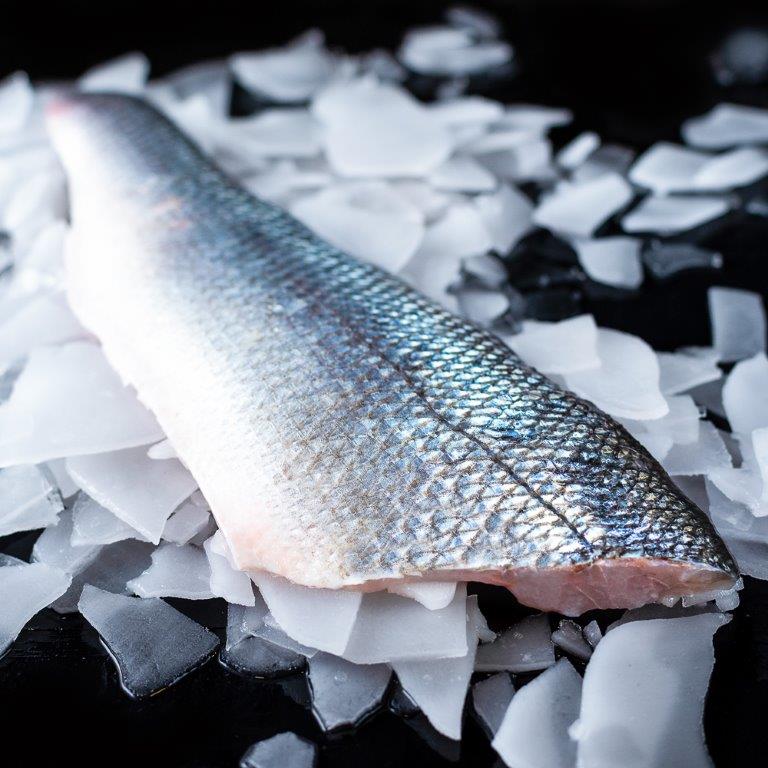 Bass Fillet (Farmed) Brighton & Newhaven Fish Sales