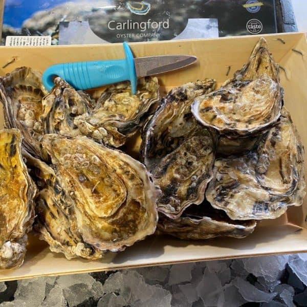Carlingford Oysters Dozen Brighton & Newhaven Fish Sales