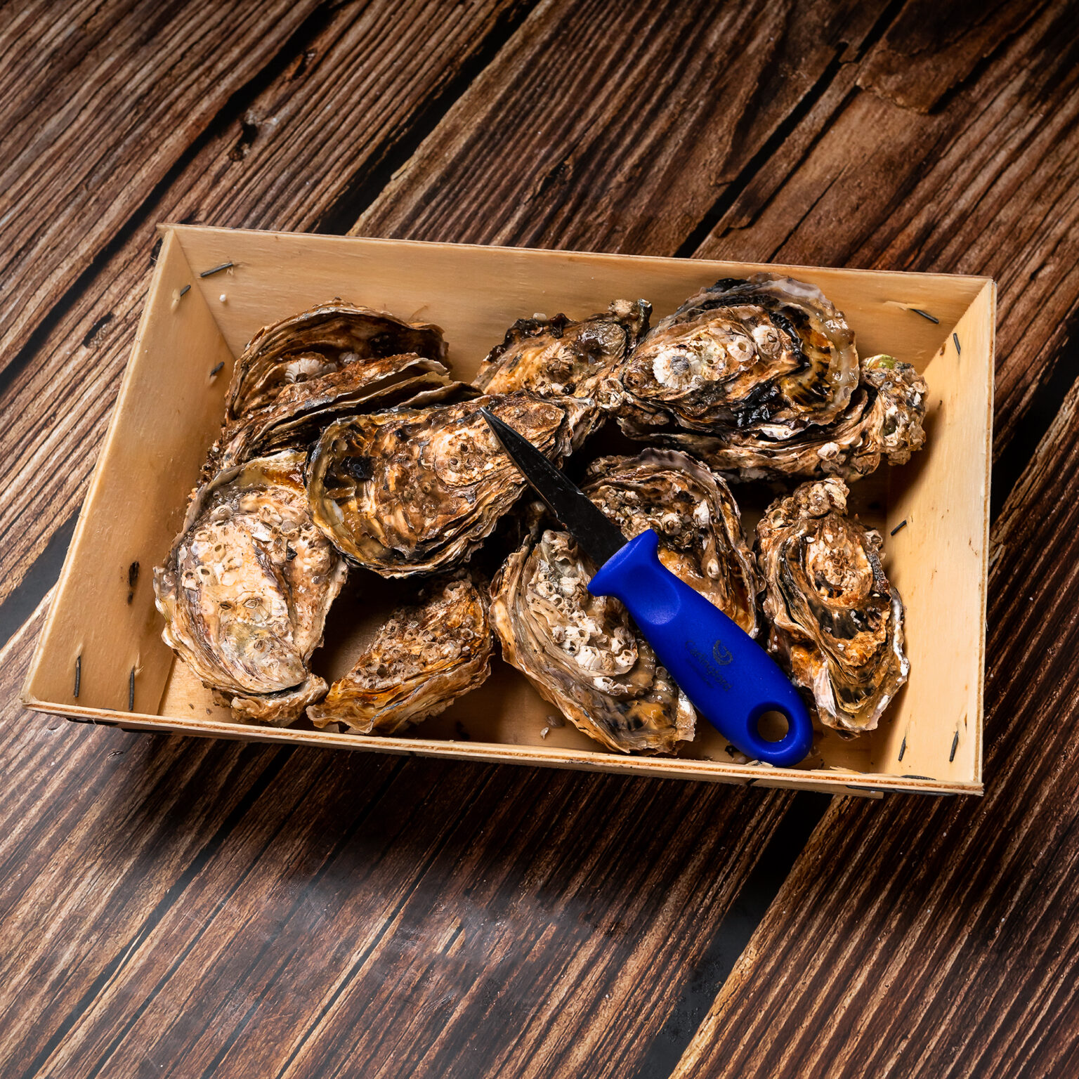 Rock Oysters Brighton & Newhaven Fish Sales