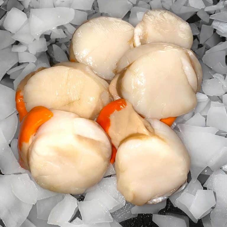 Fresh Cut UK Scallops Brighton & Newhaven Fish Sales