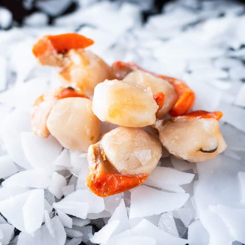 Scallopmeat Frozen Brighton & Newhaven Fish Sales