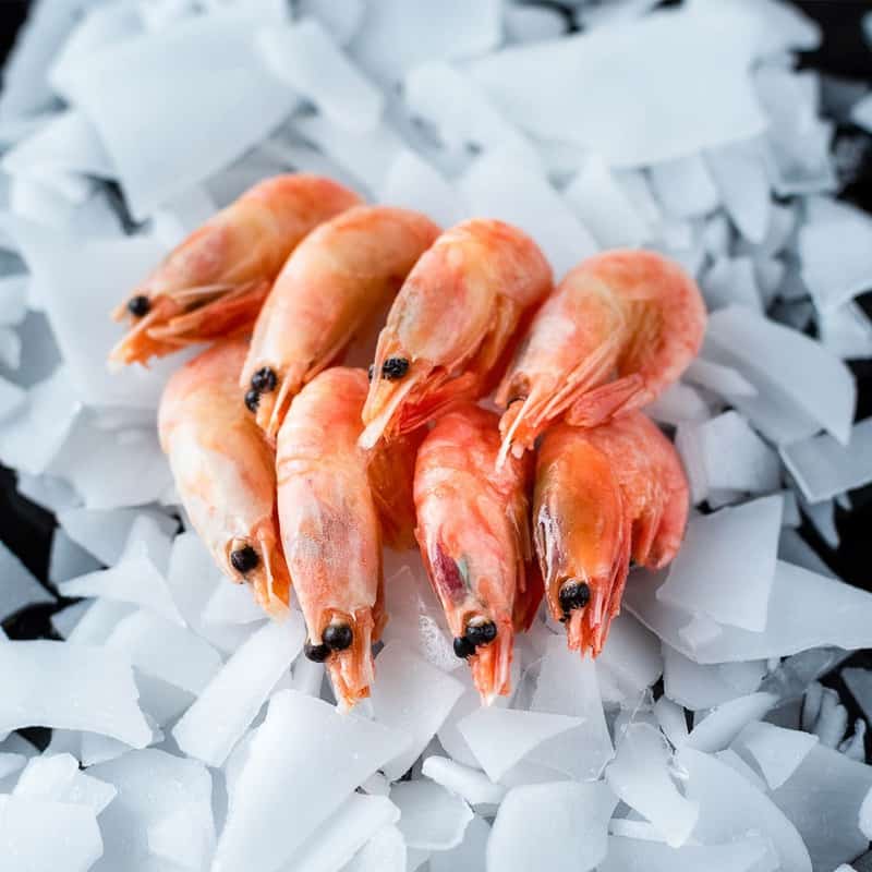 Shell on Prawns Brighton & Newhaven Fish Sales