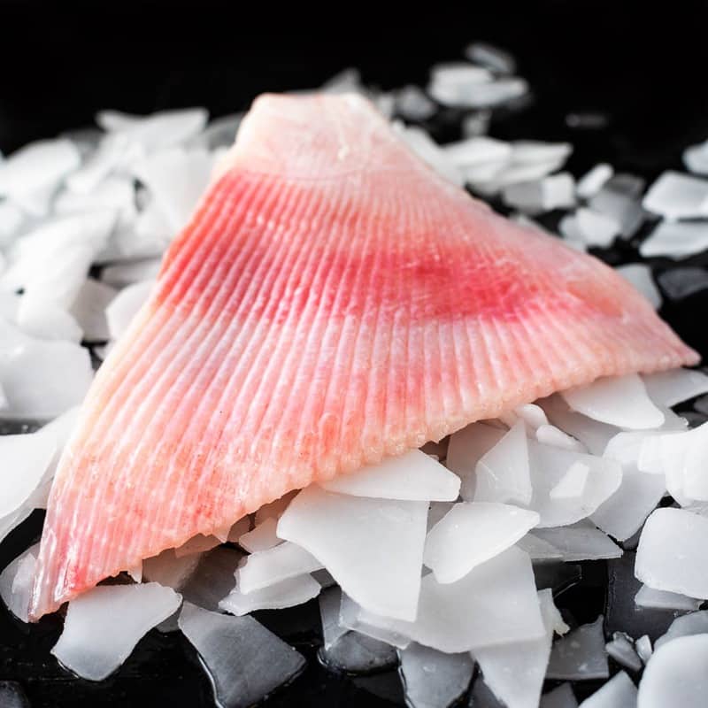 Wild Skate Wing Brighton & Newhaven Fish Sales