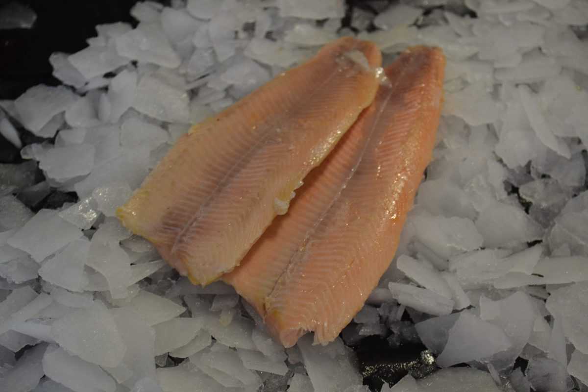 Smoked Trout Brighton & Newhaven Fish Sales